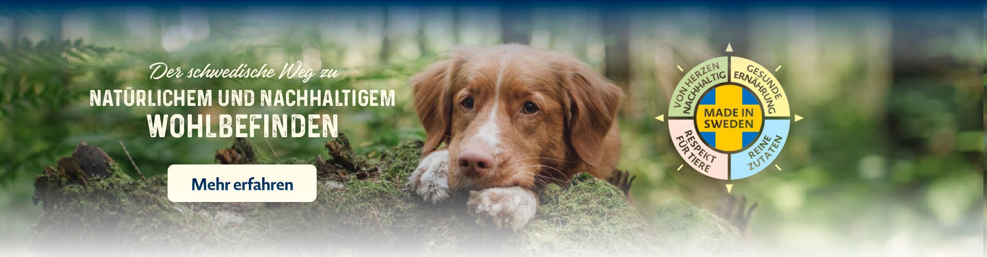 Natürliches und Nachhaltiges Wohlbefinden Natürliches und Nachhaltiges Wohlbefinden