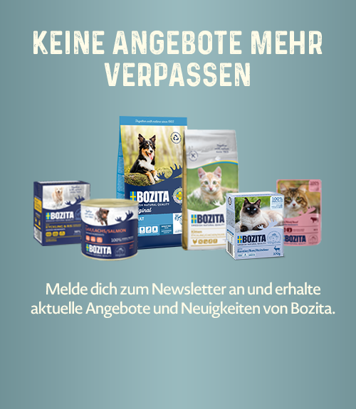 Newsletteranmeldung Newsletteranmeldung