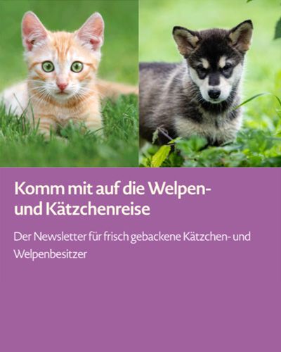 Komm mit auf die Welpen- und Kätzchenreise Komm mit auf die Welpen- und Kätzchenreise