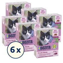 Bozita Tetra Recart Hppchen in Soe - Garnele, Lachs & Rind 18 x 370 g Probierpaket