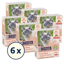 Bozita Tetra Recart Hppchen in Soe - Garnele, Lachs & Rind 18 x 370 g Probierpaket
