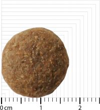 Bozita Original Adult Flavour Plus mit Rentier 2 x 12 kg Sparpaket