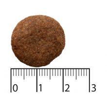 Bozita Purely Adult Large mit Lachs & Rind getreidefrei 2 x 11 kg Sparpaket