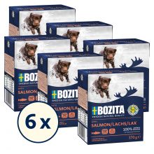 Bozita Happen in Gelee mit Lachs 370 g (Menge: 6 je Bestelleinheit)