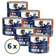 Bozita Paté mit Lachs 625 g (Menge: 6 je Bestelleinheit)