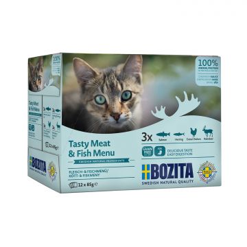 Bozita Fisch & Fleisch Häppchen in Sauce Multibox 12x85g Bozita Fisch & Fleisch Häppchen in Sauce Multibox 12x85g